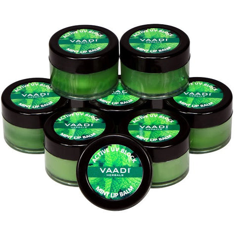Super Value Pack of 8 Lip Balm – Mint (6 + 2 FREE)