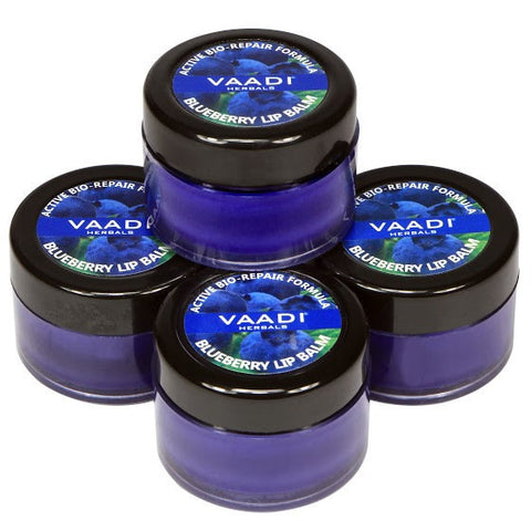Value Pack of 4 Lip Balm – Blueberry (4 X 10 gms)