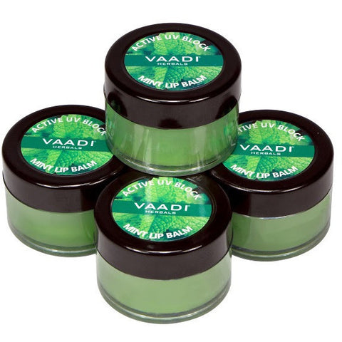 Value Pack of 4 Lip Balm – Mint (4 X 10 gms)